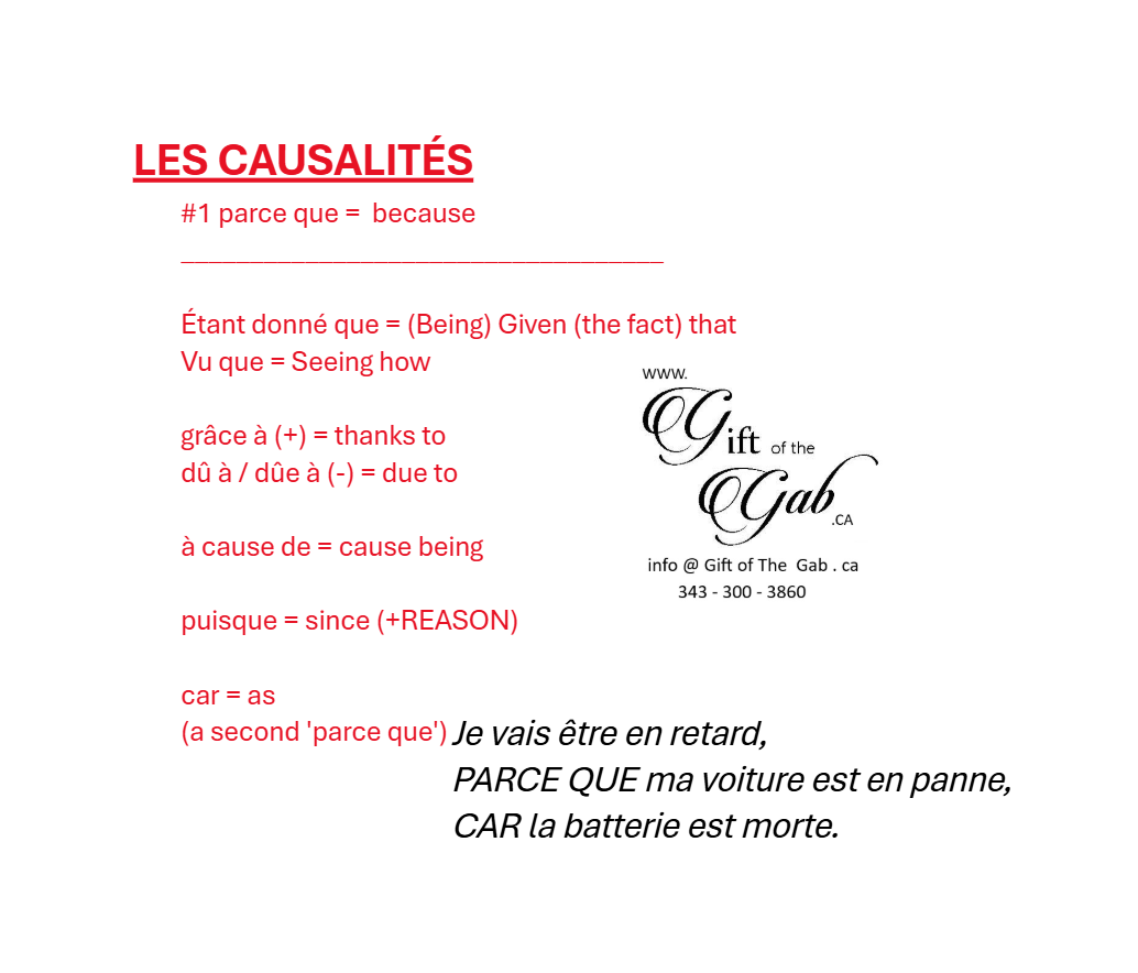 Les Causalités Vocabulaire PRÉCIS